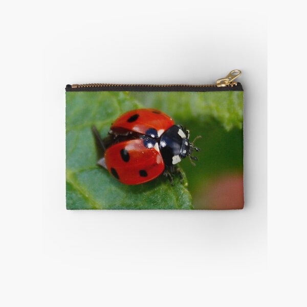 Item preview, Ladybird/Ladybug designed and sold by AnnDixon.
