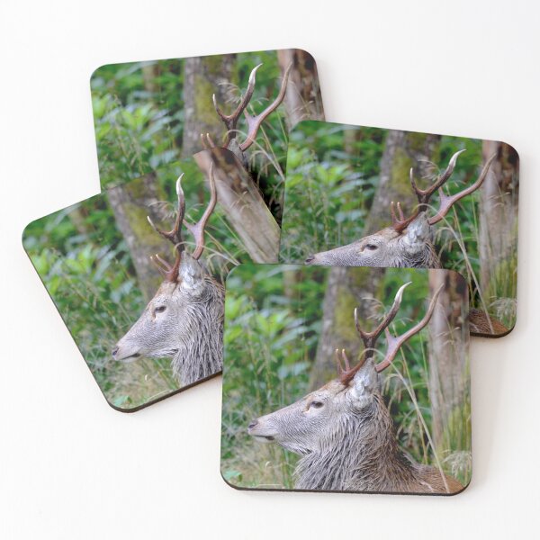 Item preview, The Stag designed and sold by Carla Maloco.