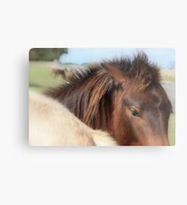 Daydreaming Metal Print