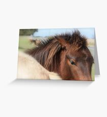 Daydreaming Greeting Card