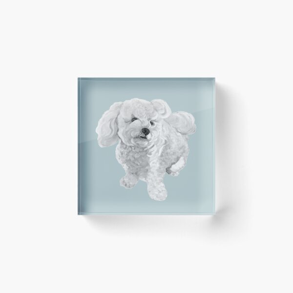 Item preview, A Beautiful Bichon named Coconut ~ Black and white designed and sold by Jane Oriel.