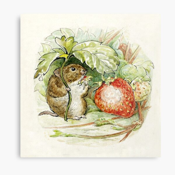 Beatrix Potter - Timmy Willie Mouse Metal Print