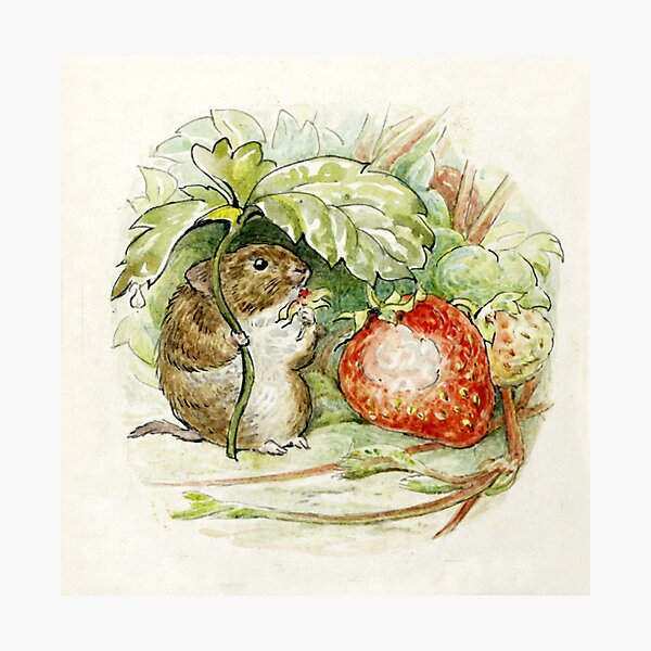 Beatrix Potter - Souris Timmy Willie Impression photo