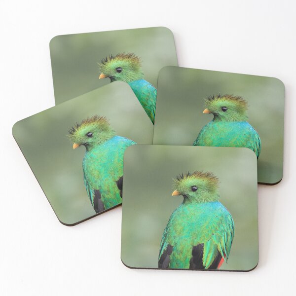 Item preview, Resplendent Quetzal designed and sold by mlorenz.