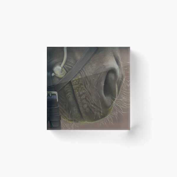 Item preview, horse close up designed and sold by Debra Spence.