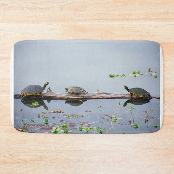 Item preview, Coastal Plain Cooter Turtles designed and sold by Casey Wilcox.