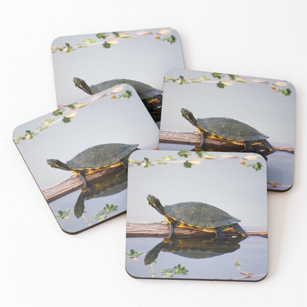 Item preview, Coastal Plain Cooter Turtle designed and sold by Casey Wilcox.