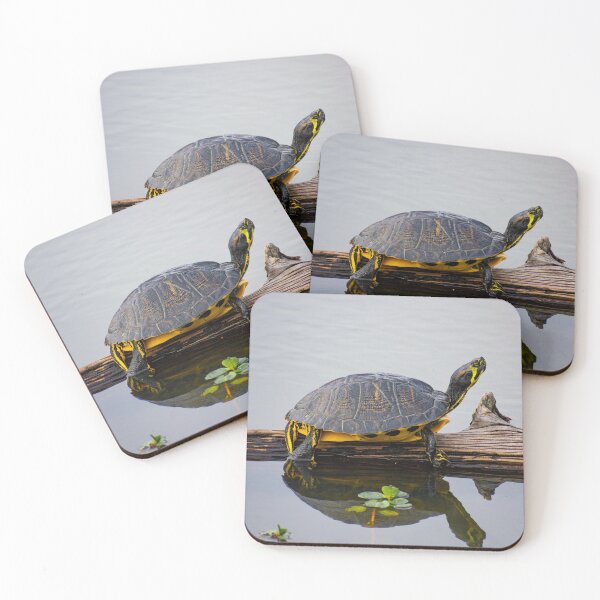 Item preview, Coastal Plain Cooter Turtle on a Log designed and sold by Casey Wilcox.