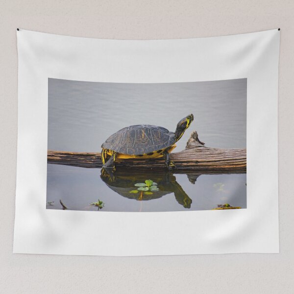 Item preview, Coastal Plain Cooter Turtle on a Log designed and sold by Casey Wilcox.