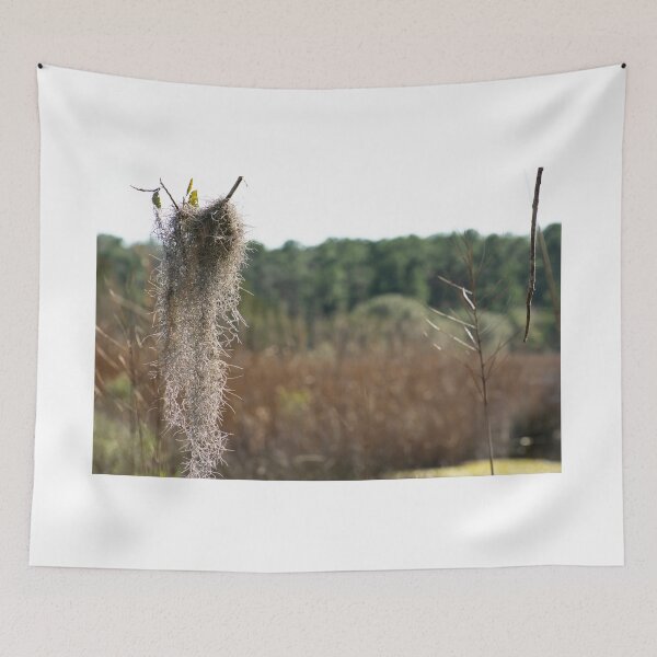 Item preview, Spanish Moss designed and sold by Casey Wilcox.