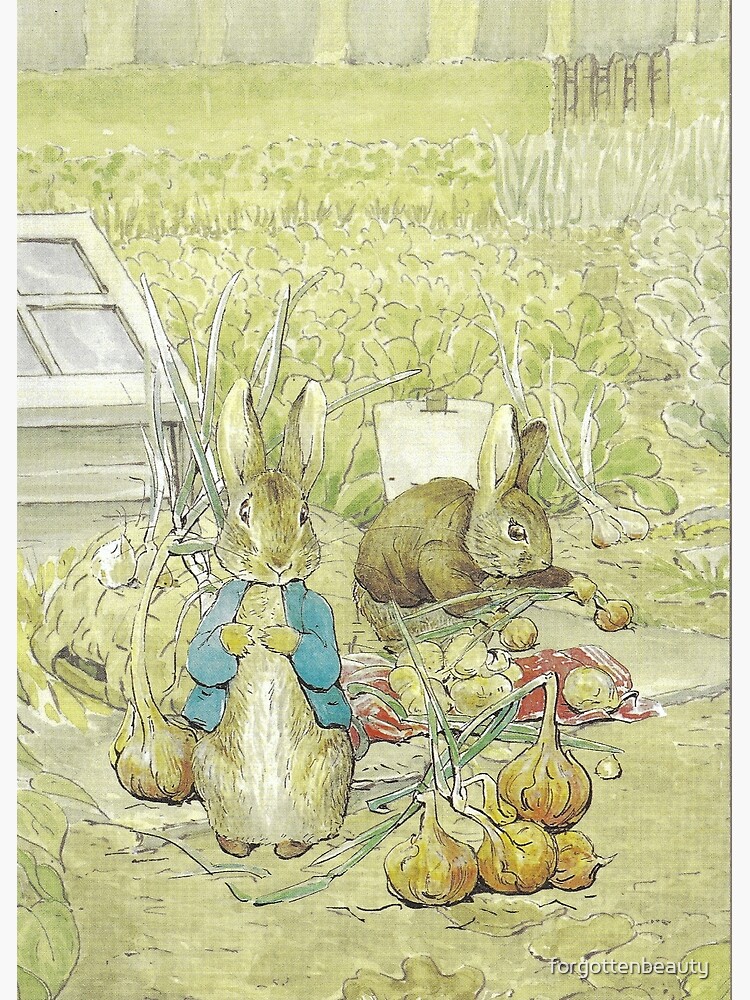 Peter and Benjamin Rabbits - Beatrix Potter Photographic Print for Sale by  forgottenbeauty