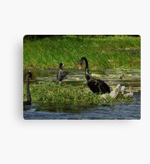Look at Just How High I Can Jump Canvas Print