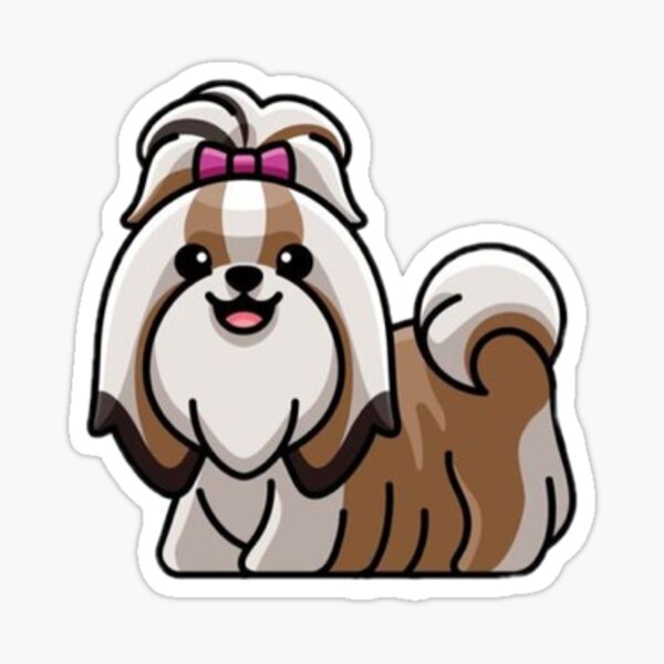 Kawaii Shih Tzu Drawing : 14 amazing facts about shih tzu ? - Koplo Png