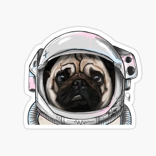 Pug Astronaut Pegatina