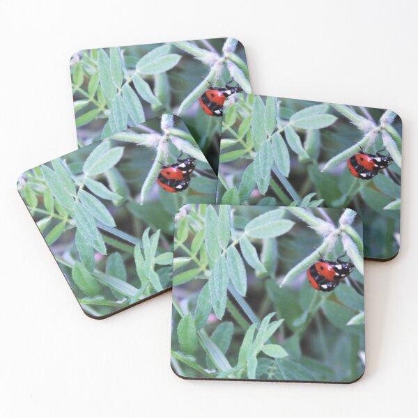 Item preview, Lady Bug designed and sold by 57victor.