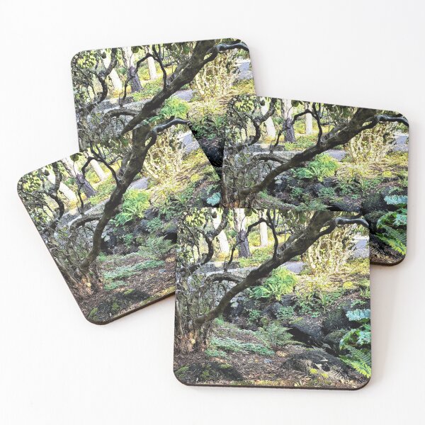 Item preview, Light Play on a Moss and Fern Laden Creek designed and sold by EloiseArt.