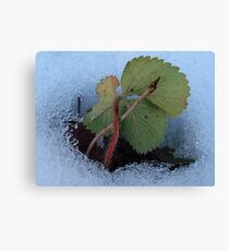 Spiritous Force Canvas Print