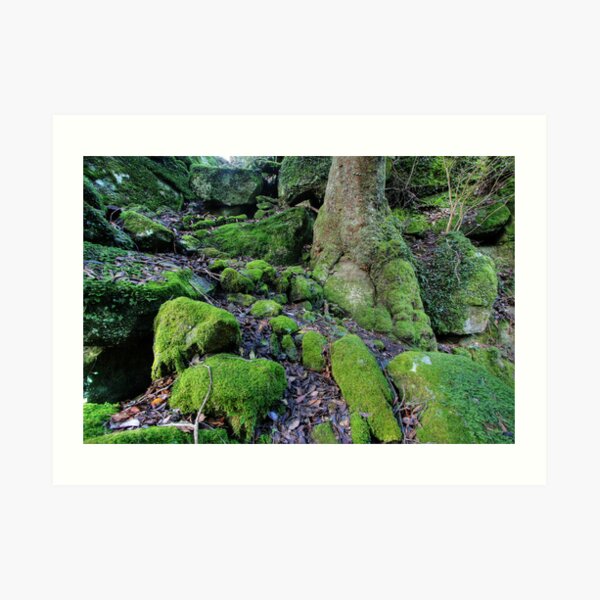 Moss Art Print