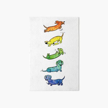 Dachshunds de acuarela Lámina rígida