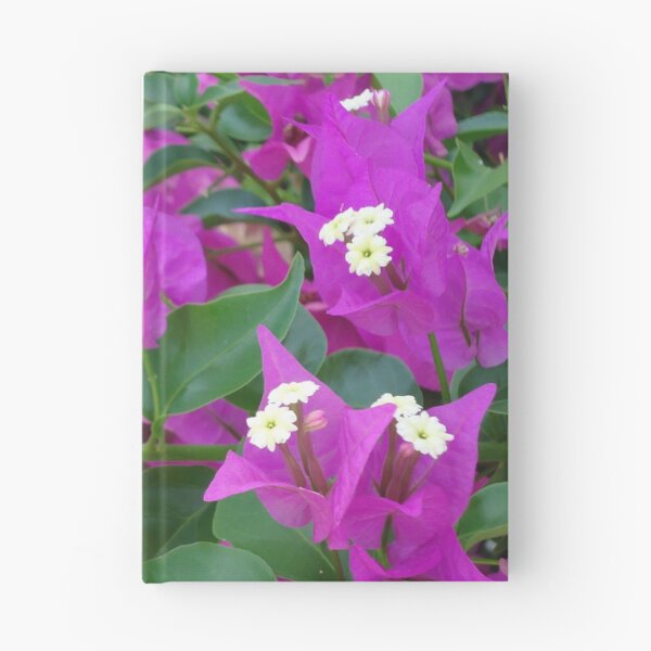 Aperçu de l'œuvre Hawaiian bougainvillea créée et vendue par Angel35.