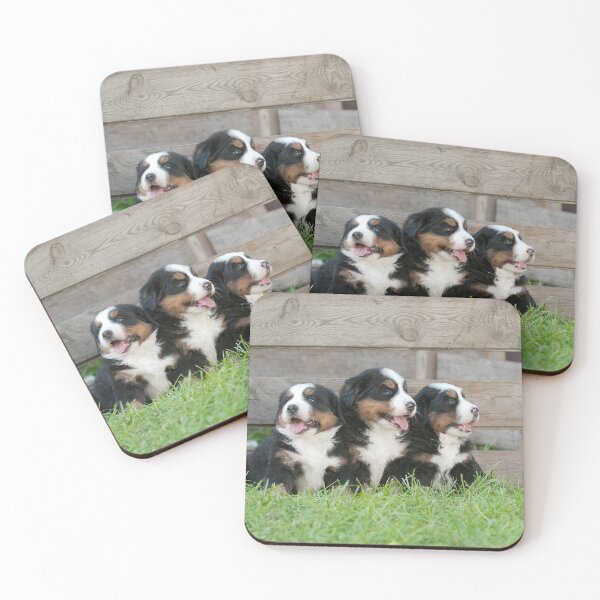 Item preview, Bernese Mountain Dog puppies designed and sold by PetsArt.