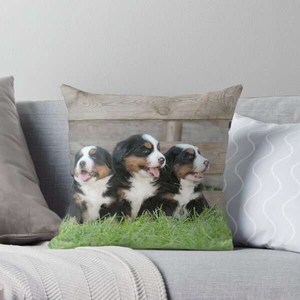 Aperçu de l'œuvre Chiots bouvier bernois créée et vendue par PetsArt.