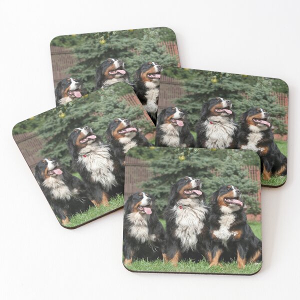 Item preview, Bernese Mountain Dogs designed and sold by PetsArt.