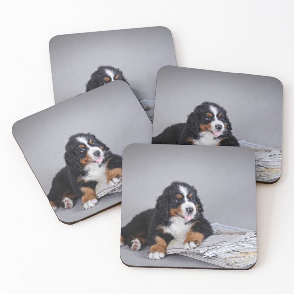 Item preview, Bernese Mountain Dog puppy designed and sold by PetsArt.