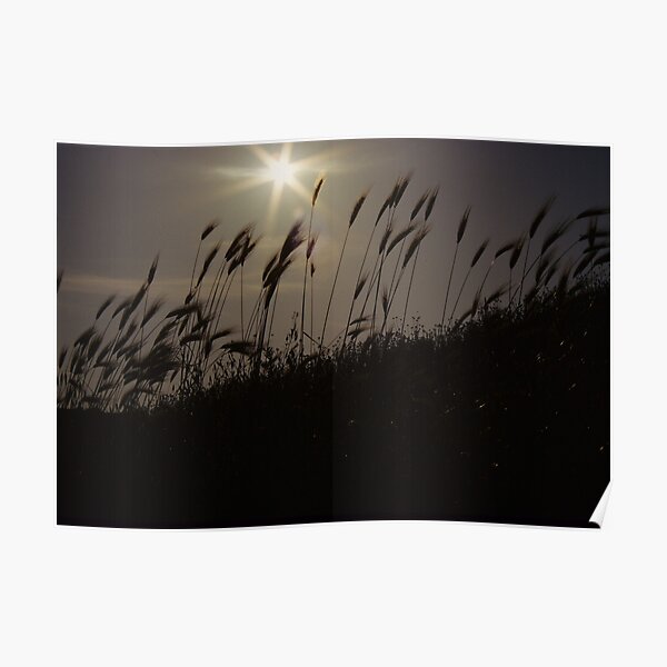 on my way home Poster