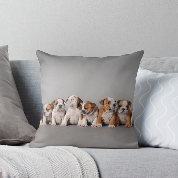 Item preview, English bulldog puppies designed and sold by PetsArt.