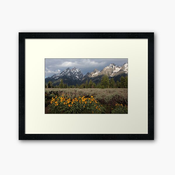 The Grand Teton & Mules Ears Framed Art Print