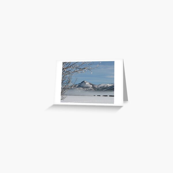 Walton Ranch in Winter Greeting Card