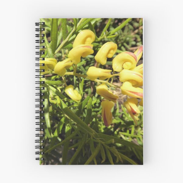 Item preview, Grevilleas nativas australianas 'Lemon Daze', jardín delantero. designed and sold by RitaBlom.