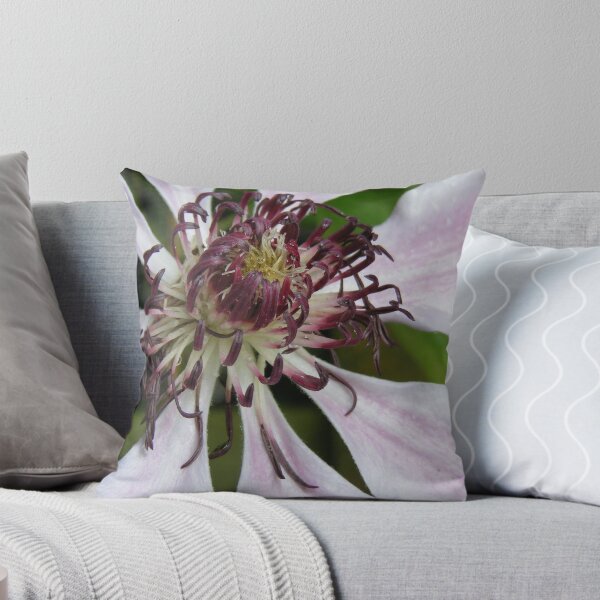 Item preview, Passion Flower designed and sold by IanJSutherland.