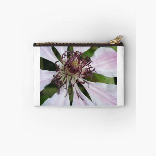 Artikelvorschau, Passionsblume entworfen und verkauft von IanJSutherland.