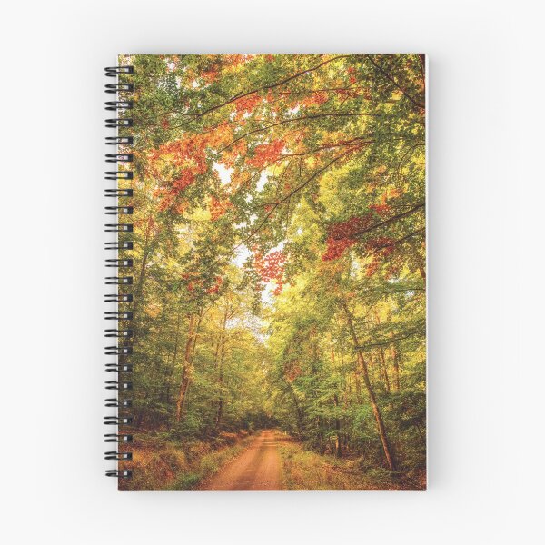 Item preview, Autumn Colorful Path designed and sold by Philippe Sainte-Laudy.