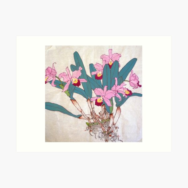 Orchids with roots Art Print