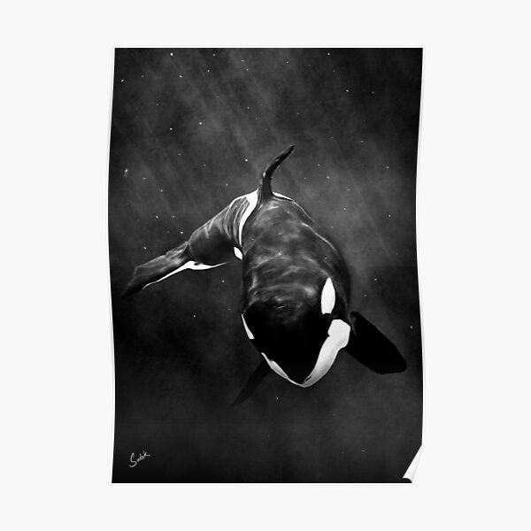 The Orca Poster