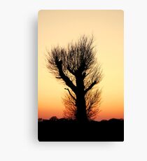 "THE HAIRY WAVING TREE" Canvas Print