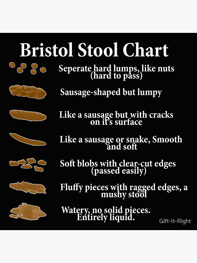 bristol-stool-chart-stool-chart-zazzle-com-stool-chart-bristol-stool