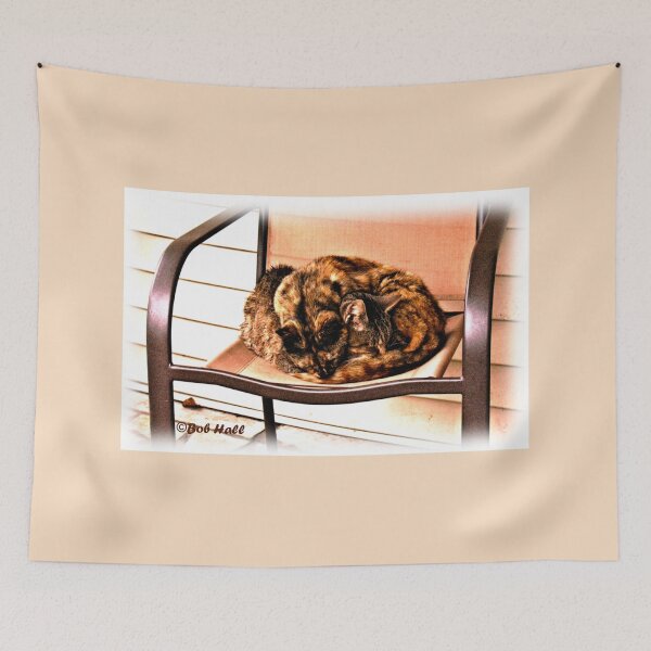 Item preview, "Warm and Fuzzy," Photo, for prints and products designed and sold by Bob Hall©.