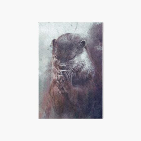 Meditierender Otter (farbig) Galeriedruck