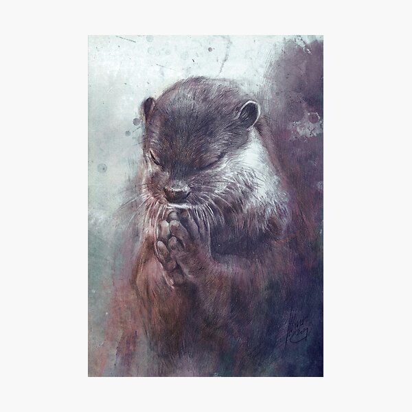 Meditierender Otter (farbig) Fotodruck