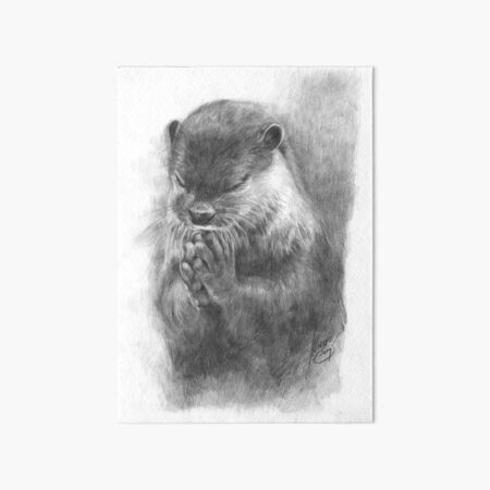 Meditierender Otter (schwarz-weiß) Galeriedruck