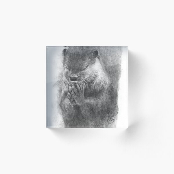 Meditierender Otter (schwarz-weiß) Acrylblock
