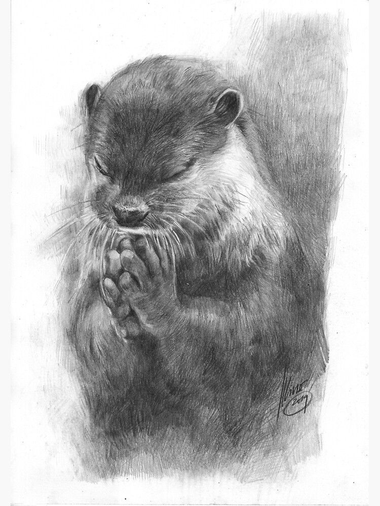 Discover Meditating Otter Poster