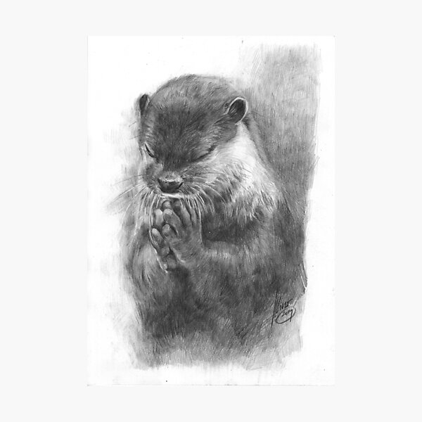 Meditierender Otter (schwarz-weiß) Fotodruck