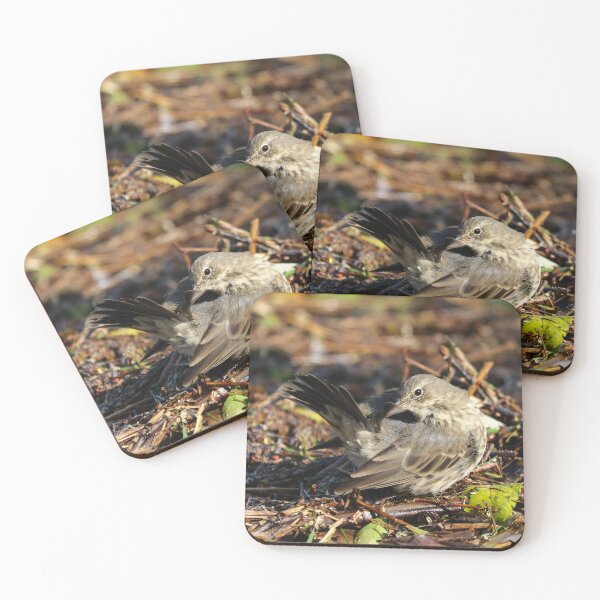 Item preview, Preening pipit designed and sold by GreyFeatherPhot.