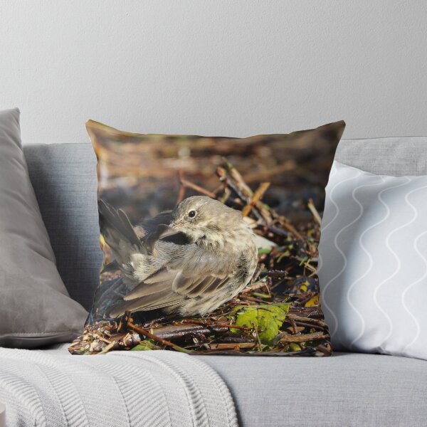 Item preview, Preening pipit designed and sold by GreyFeatherPhot.