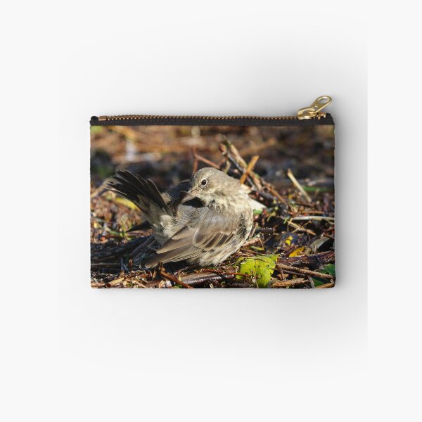 Item preview, Preening pipit designed and sold by GreyFeatherPhot.